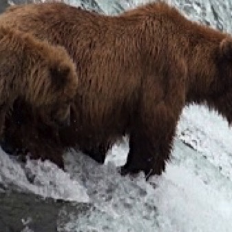 Screen Shot 2016-07-08 at 9.45.01 PM.jpg